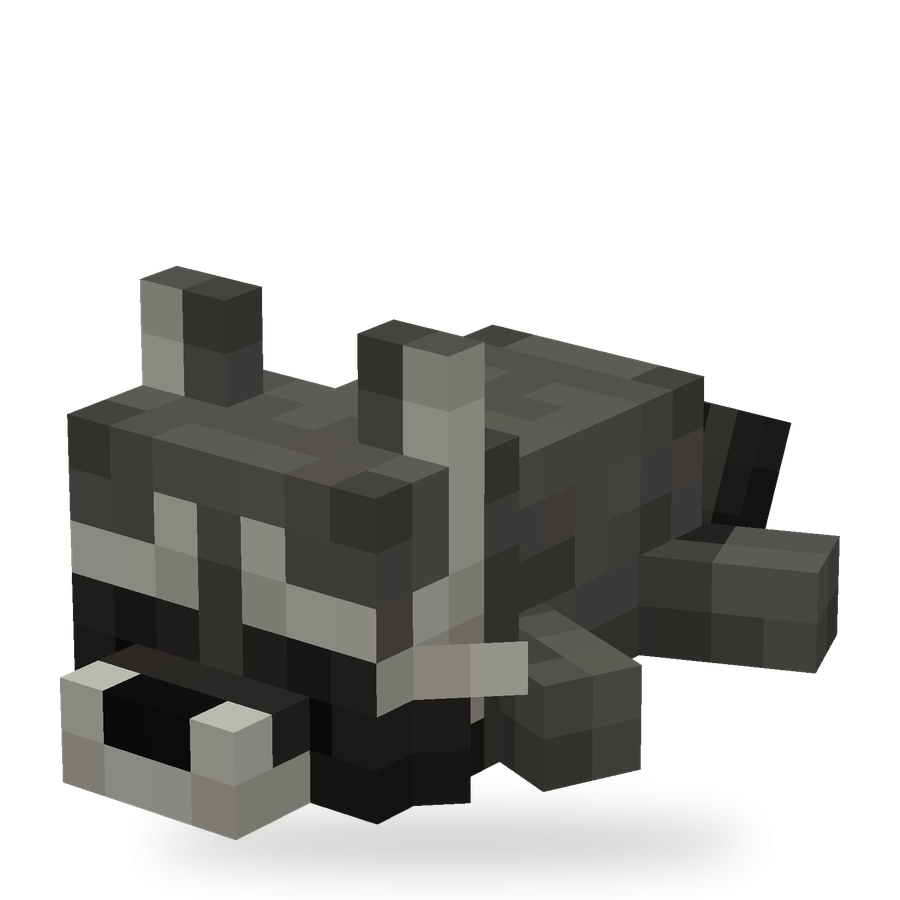 Raccoon Set