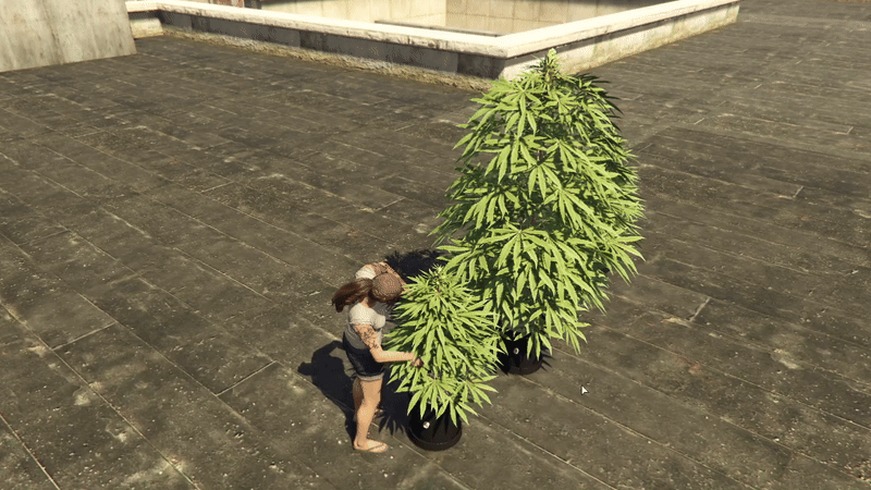 Cutting weed