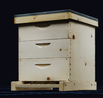 Bee Hive Box