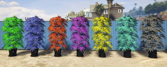 Colorful Weed Plants Classic Pack