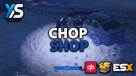 Chop Shop / Scrapyard