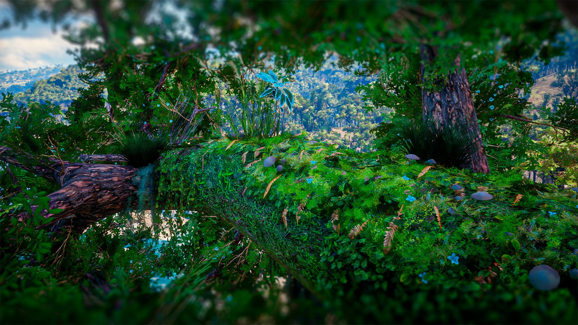Tree Village