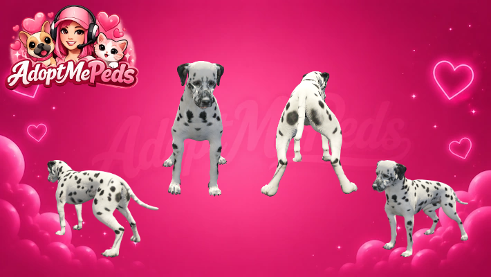 Dalmatian & Dalmatian Puppy