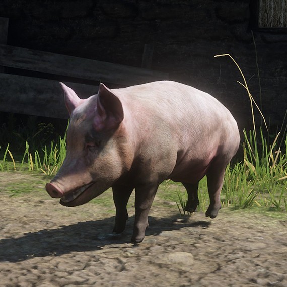 Cochon