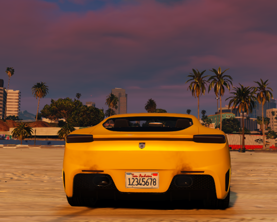 Custom License Plate x1