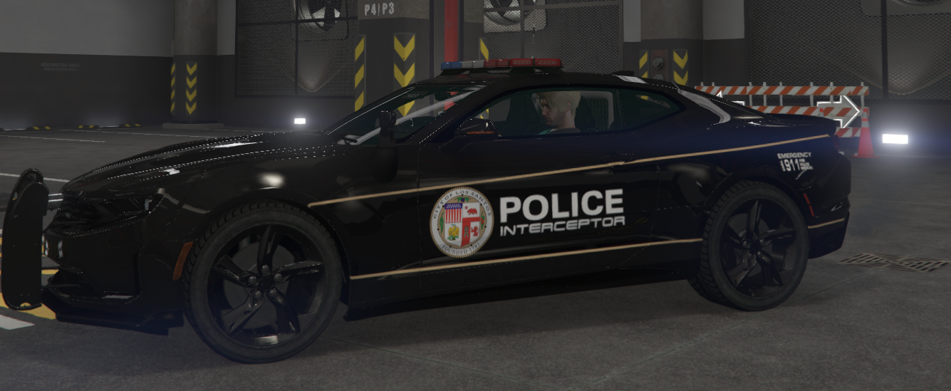 vip police camari