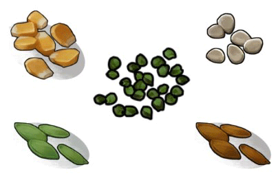 (100K) ALL Seeds!