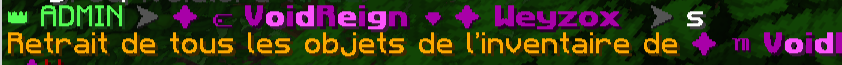 VoidReign