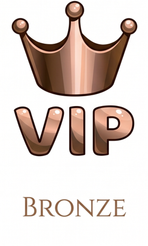 Bronze VIP