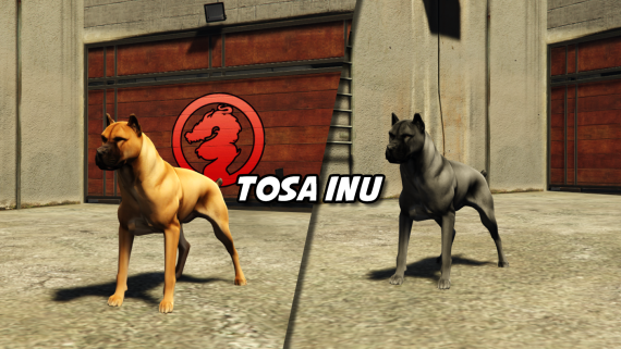 Tosa Inu