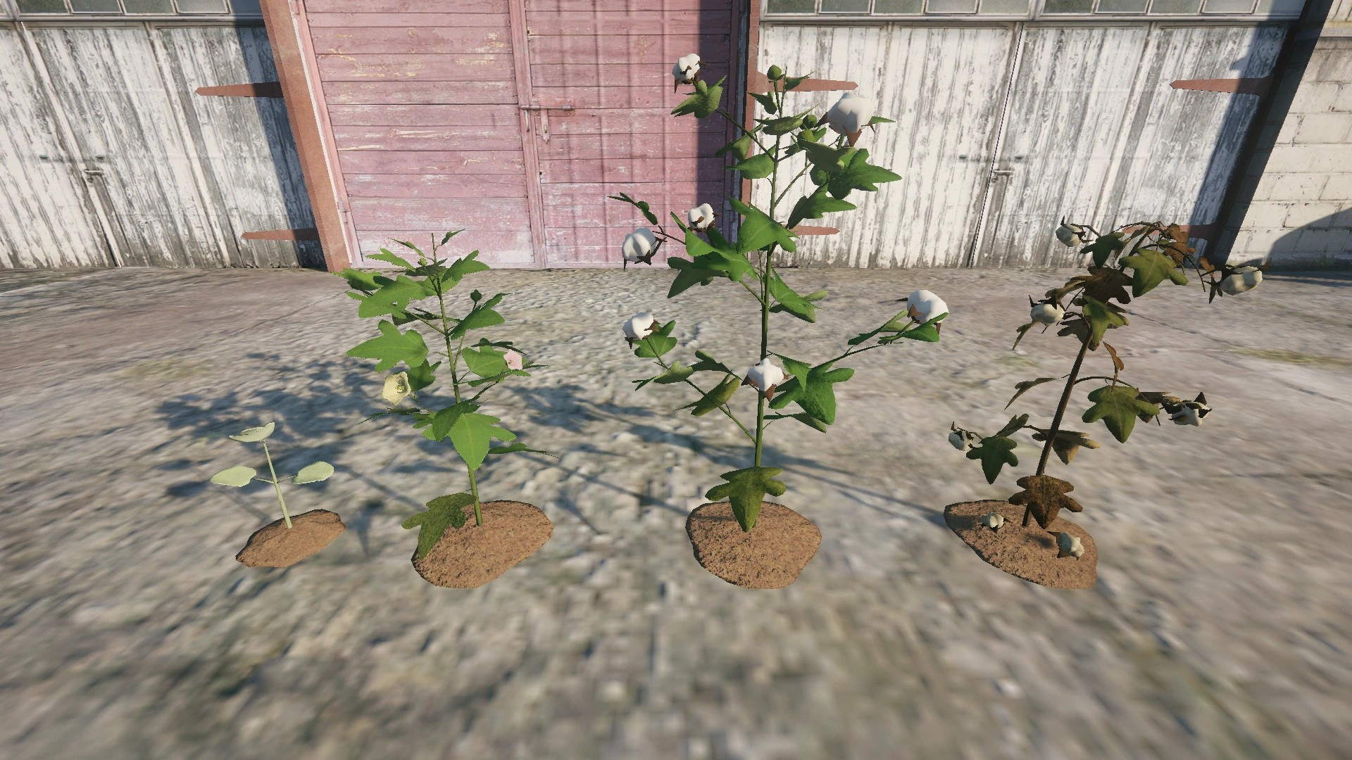 Farm Props: Field Crops - 4