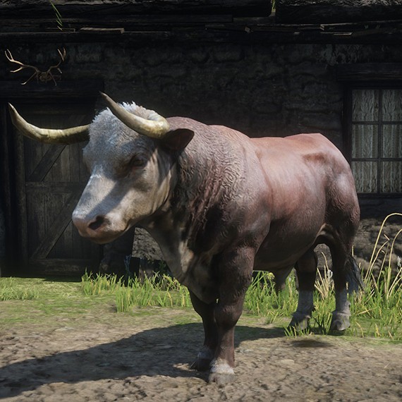 Taureau