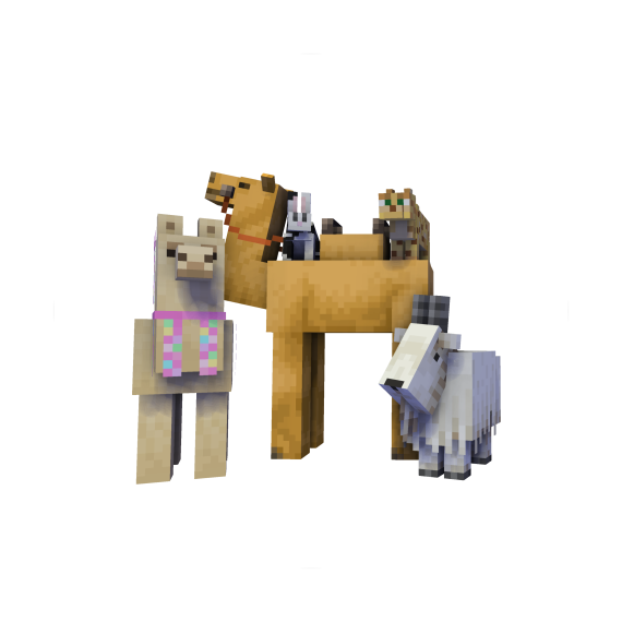 Misc. Animals Pets Bundle