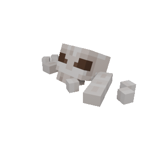 Dino Skull