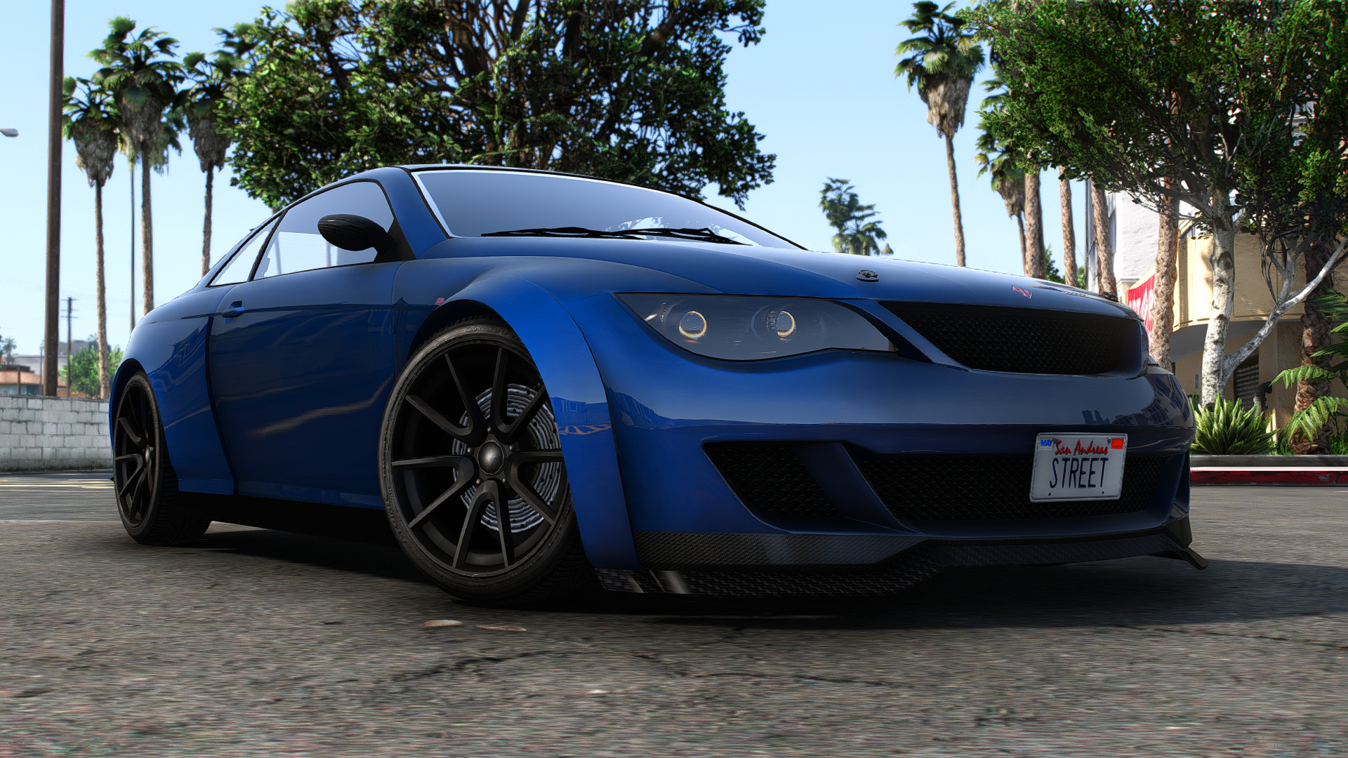 Zion SM Widebody