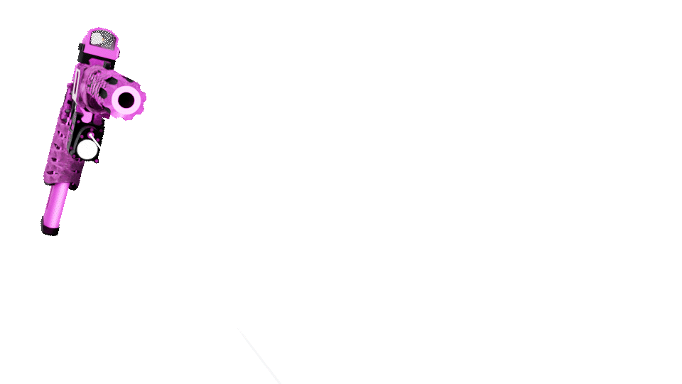 PX2 GIRLFIGHT