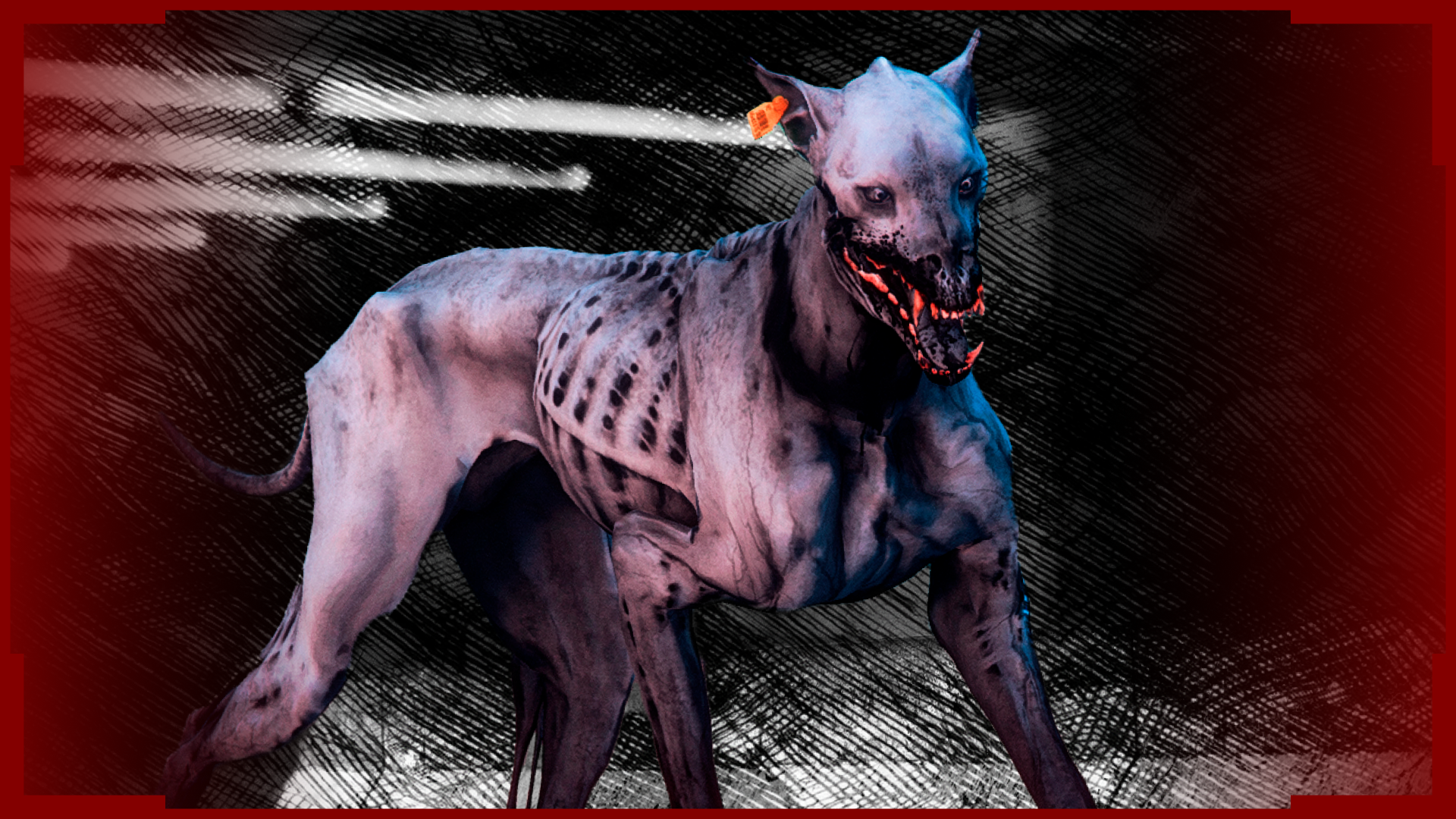 Voidhound