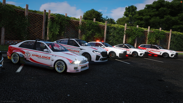 🚑 EMS Bundle V2 Screenshot 3