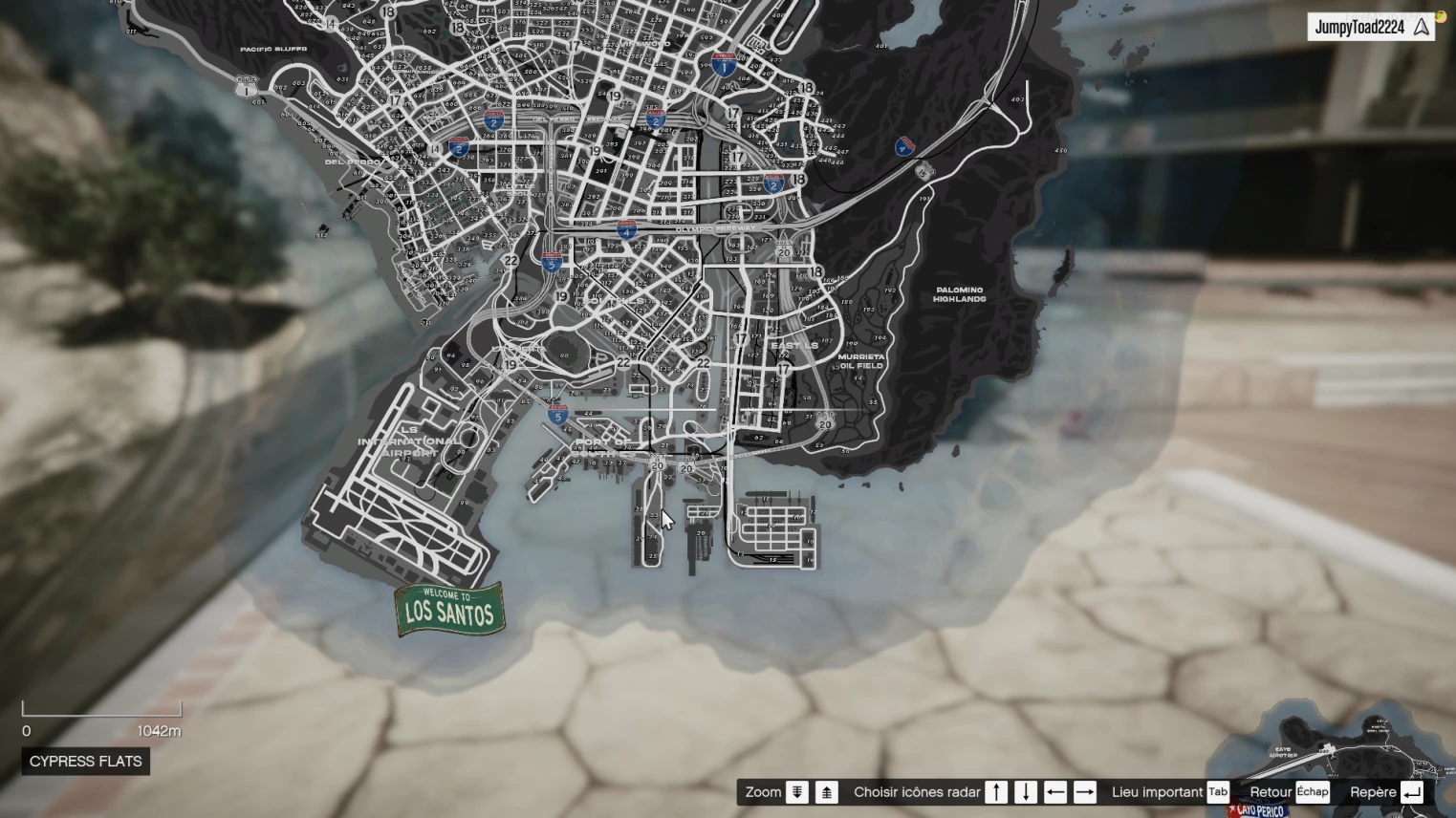 Los Santos MiniMap + Script Postal Codes (Standalone)