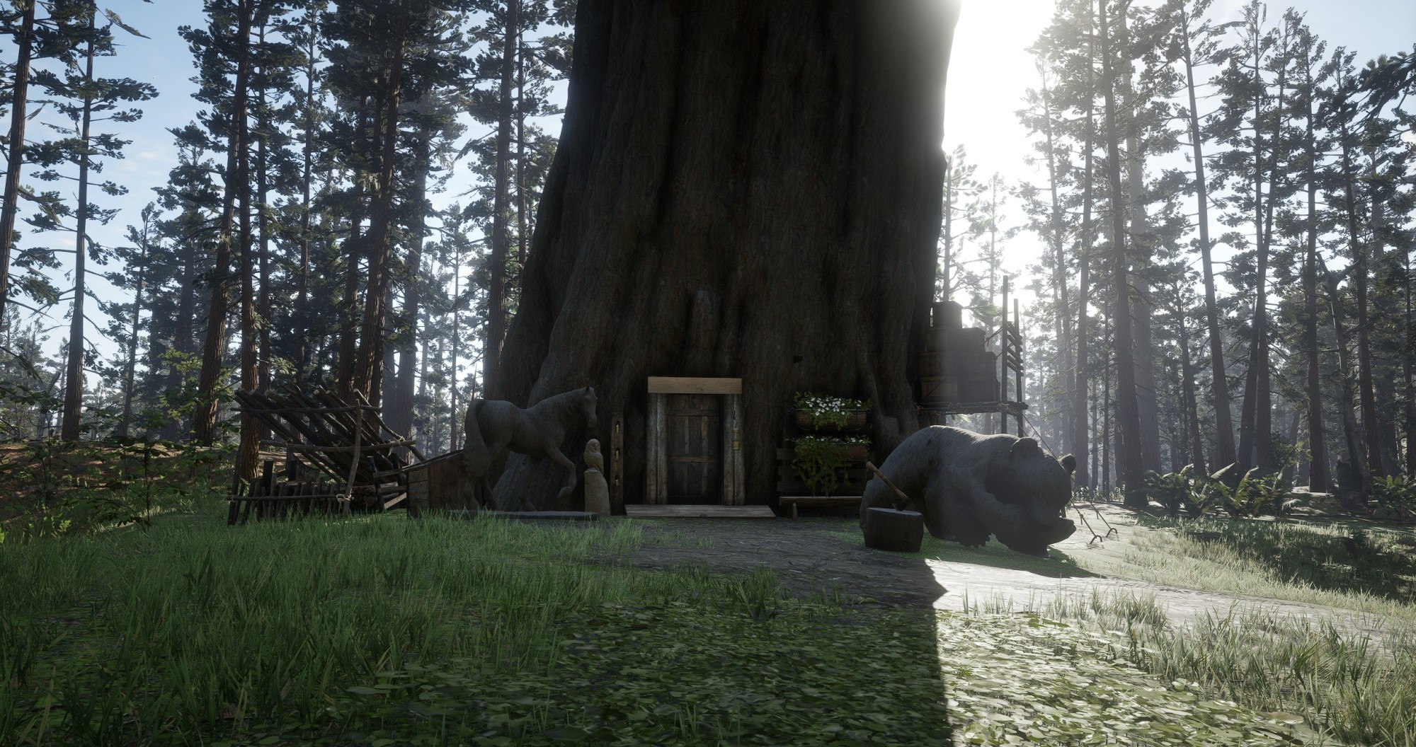 The Redwood Refuge