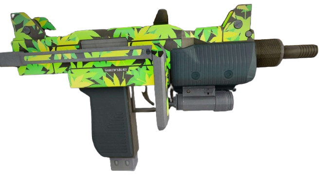 Security Weapon Skin