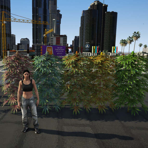 Colored weed pack