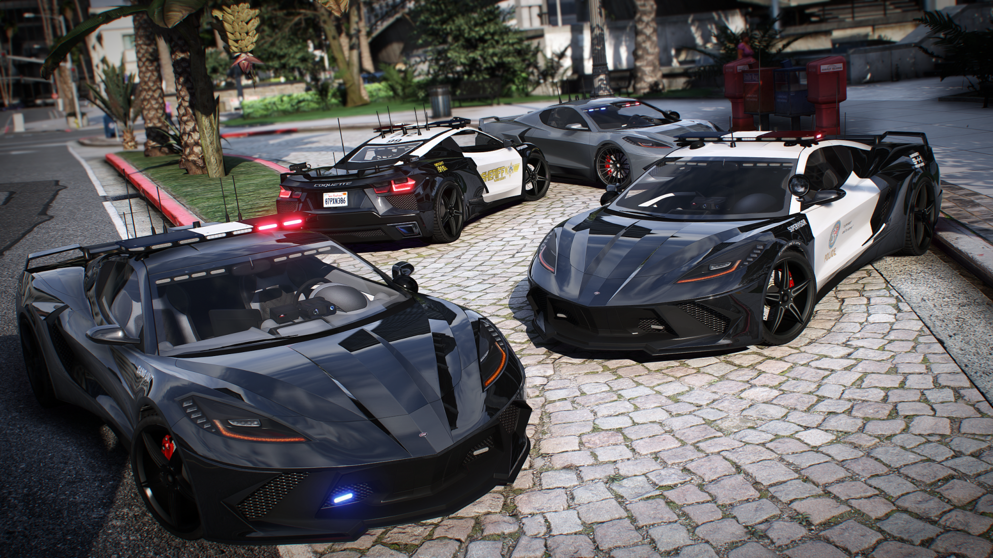 Coquette D10