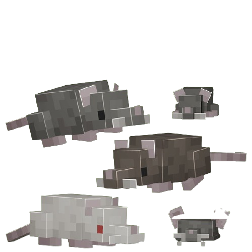 🐀 Rat — Street Merchant
