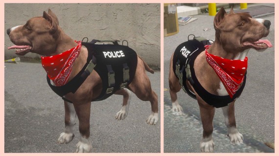 🐕 Pit Bull (Normal+K9 Vest)