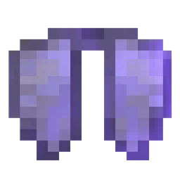 🪽 Elytra