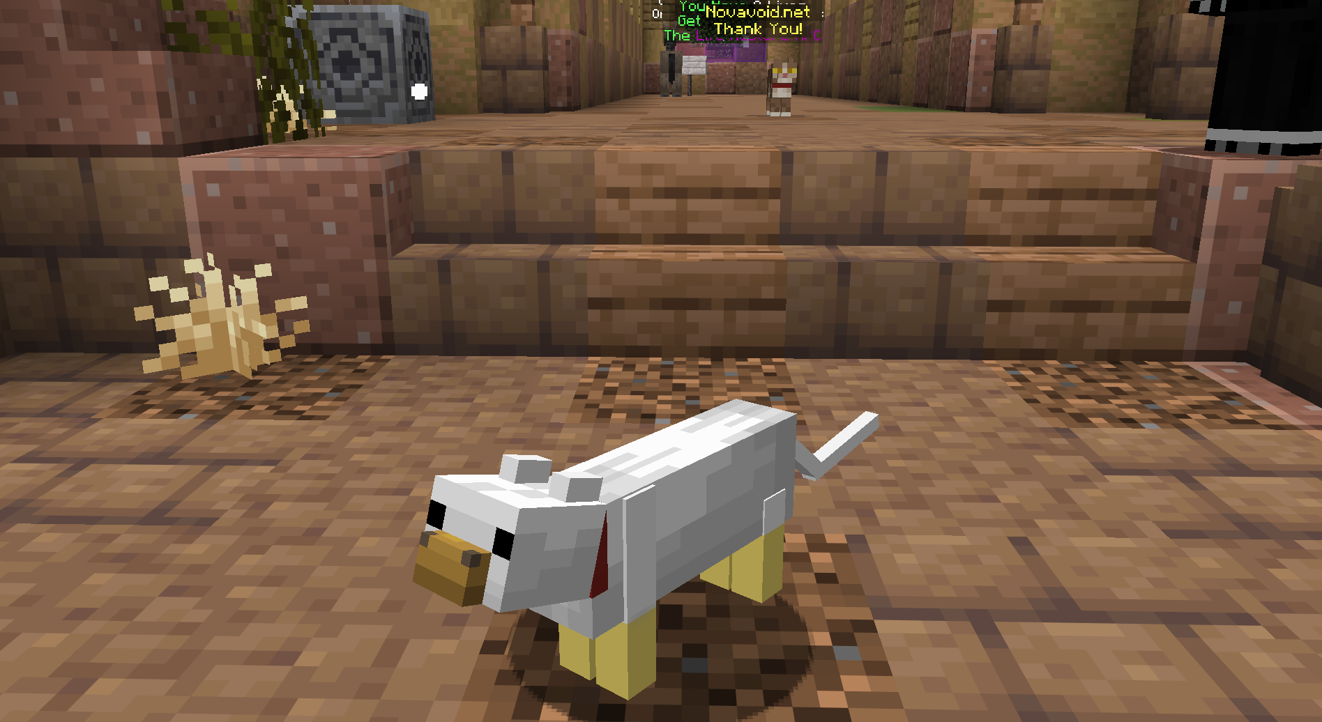 Chicken Cat — cosmetic Cat Skins item on the NovaVoid Cat Civilization Minecraft server
