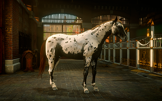 Gang Trelawney White - Macho