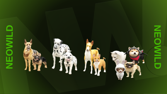 🐶 Ultimate Dog Bundle – 10 Dogs