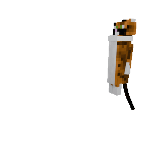 Vertical Personality — cosmetic Personalities item on the NovaVoid Cat Civilization Minecraft server