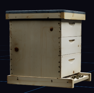 Bee Hive Box