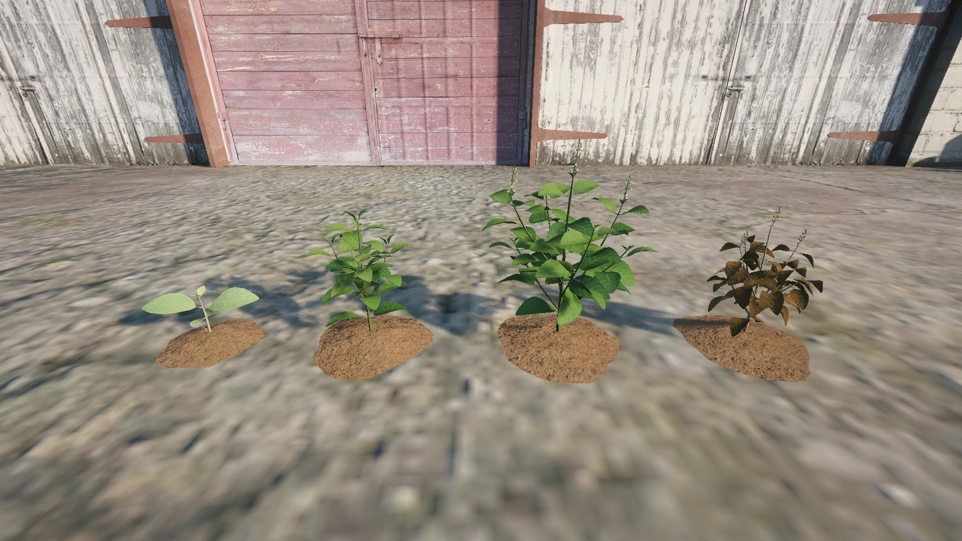 Farm Props: Leafy Greens & Herbs - 2