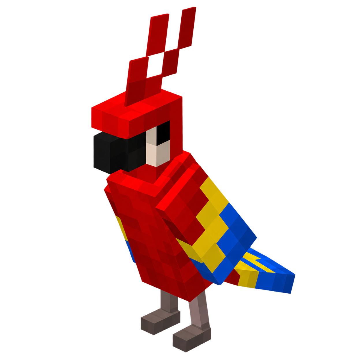Parrot Pet