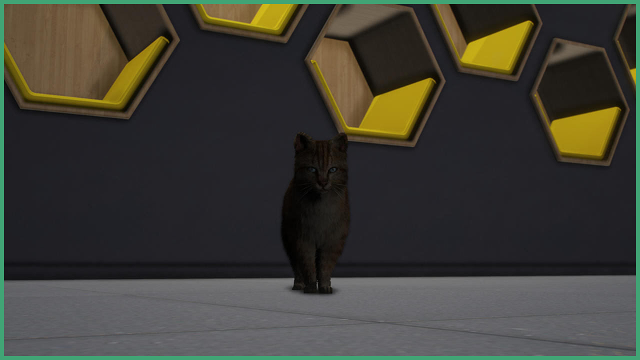 Orange Tabbie Cat