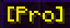 Pro
