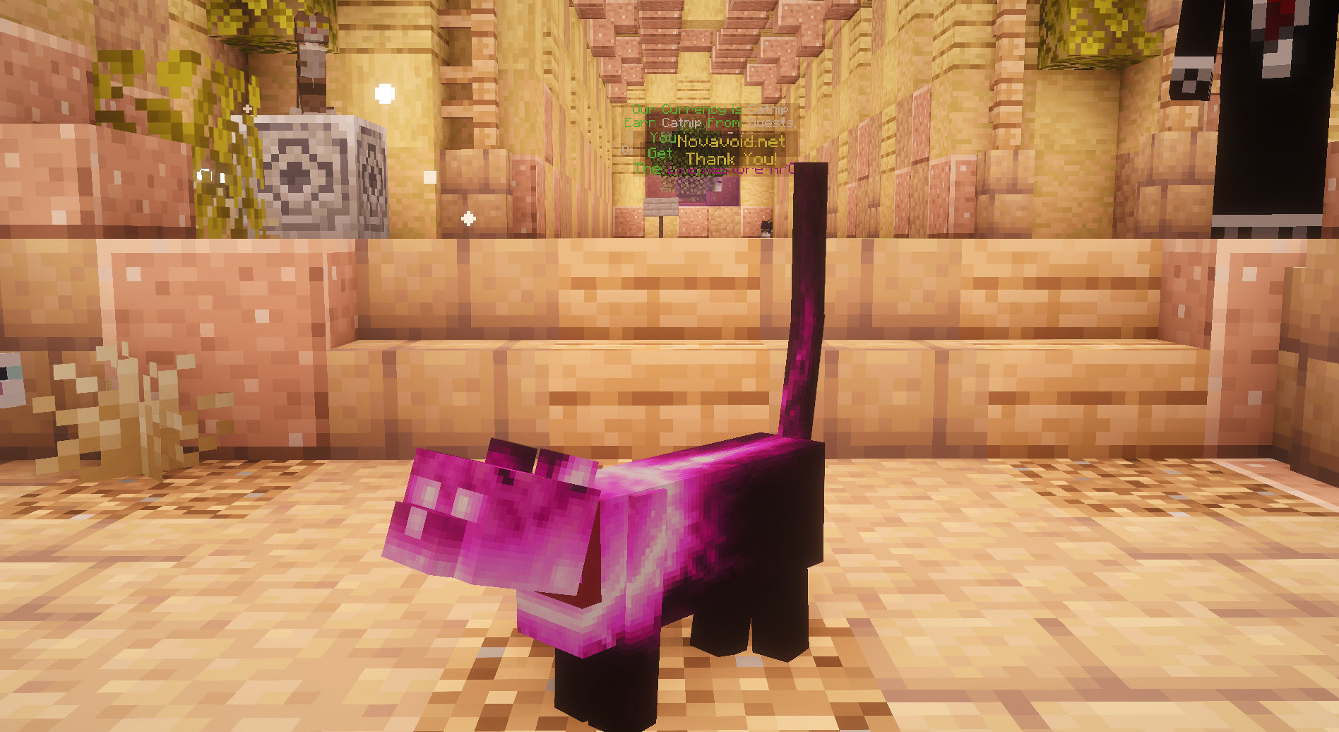 Solar Hot Pink Cat — cosmetic Cat Skins item on the NovaVoid Cat Civilization Minecraft server
