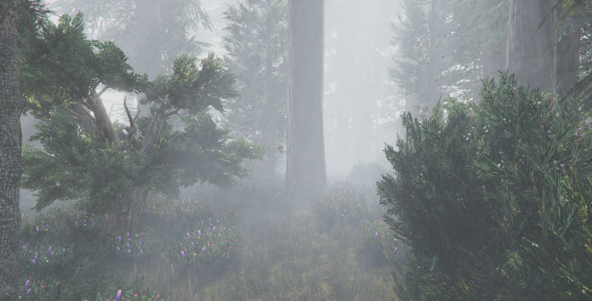 The Forest Island