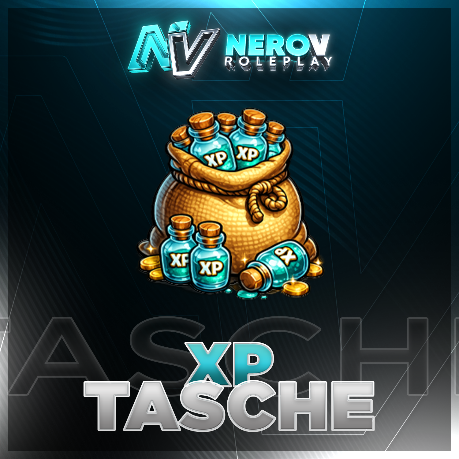 XP Tasche
