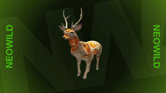 Infected Deer