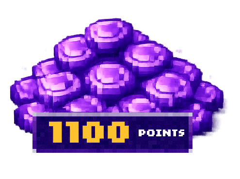 1100 Points Boutique