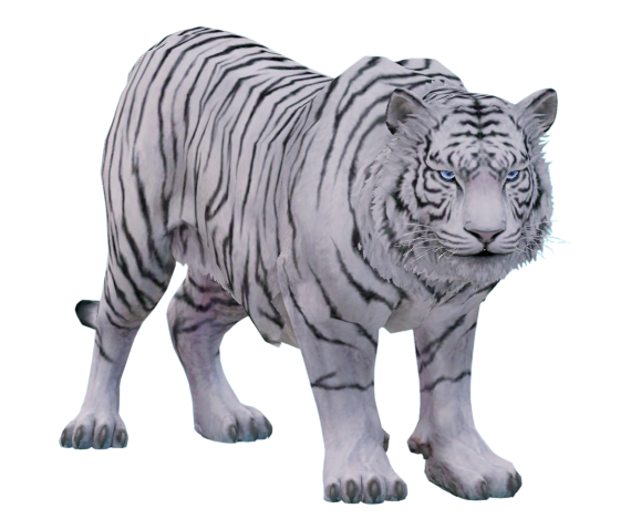 Tigor