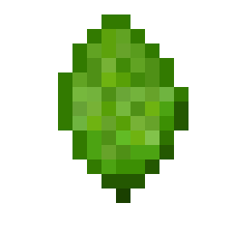 Spinach Seed