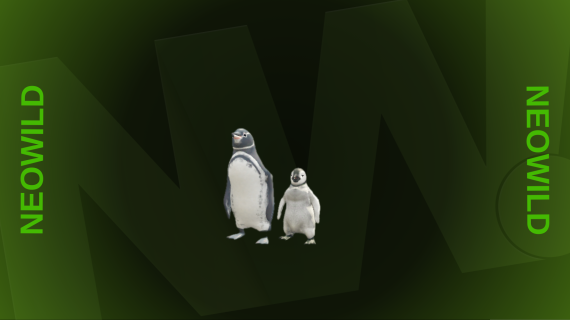 Penguin + Baby Penguin Bundle