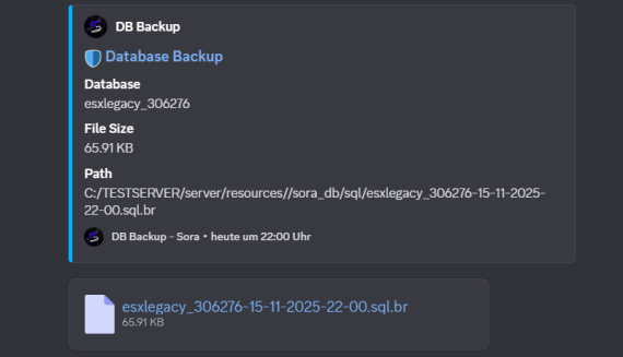 Sora DB Backup