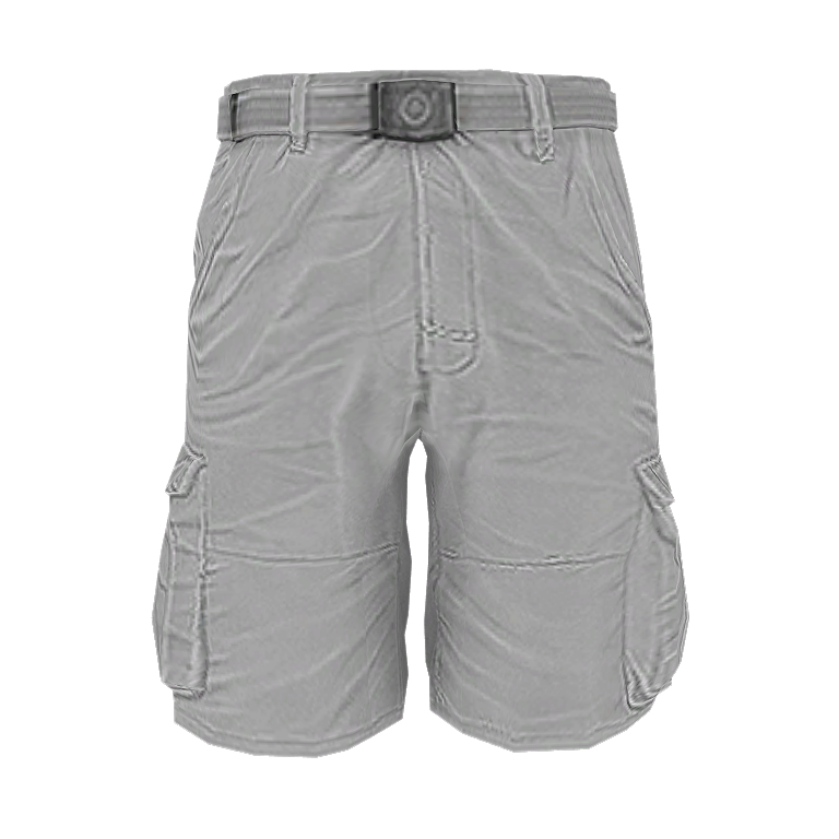 Cargo Shorts (M)