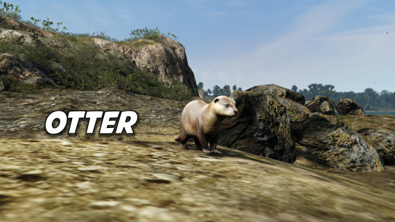 Otter